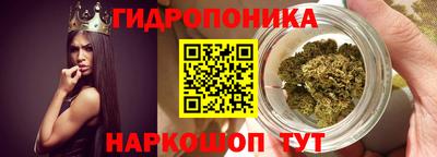 гидра Заволжье