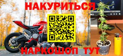 гашик Дубна