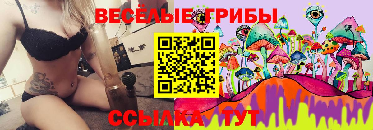 Псилоцибиновые грибы прущие грибы Холмск