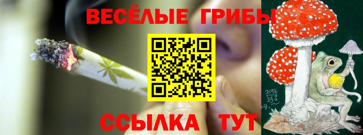 Холмск  Галлюциногенные грибы прущие грибы  Вход с VPN 